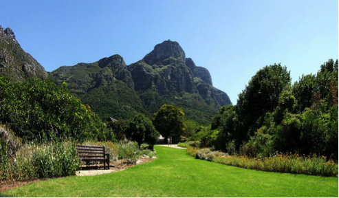 Botanical garden in South Africa – The eastern faces of Table Mountain by Didier B: https://commons.wikimedia.org/wiki/User:Sam67fr