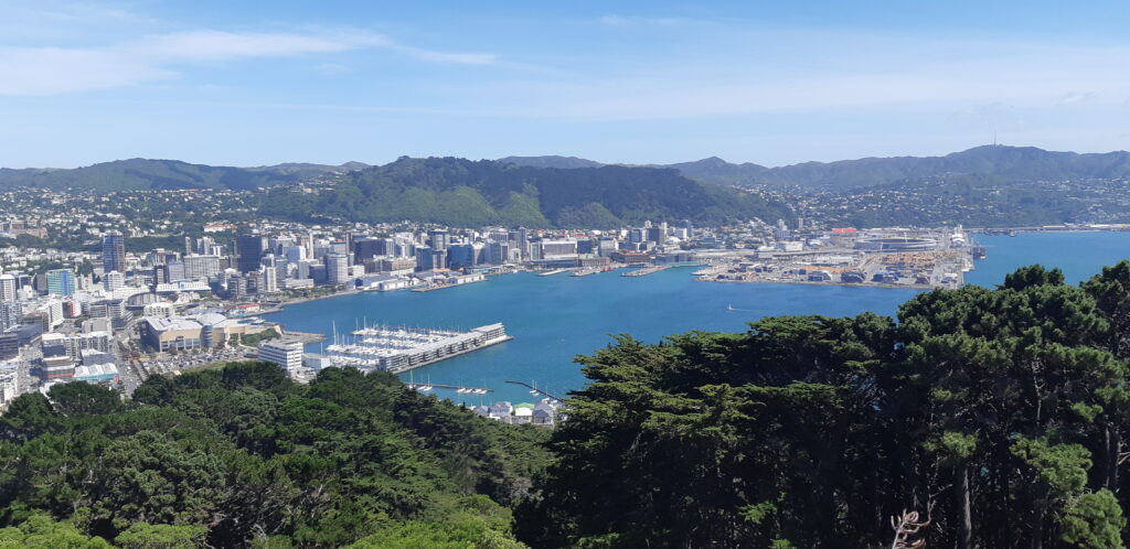 Downtown Wellington from Mount Victoria