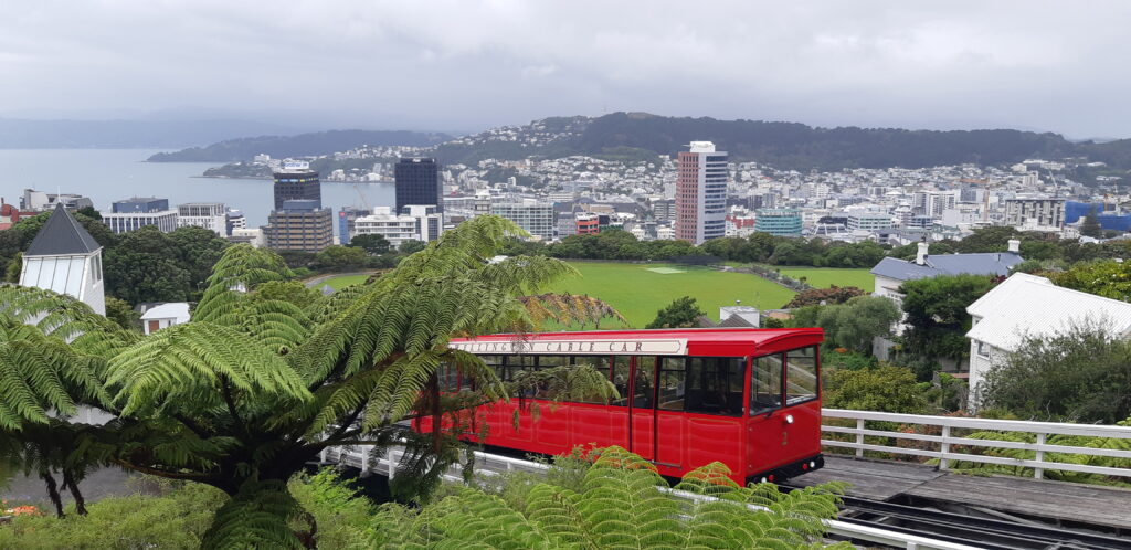 Botanic Gardens Cable Car viewpoint