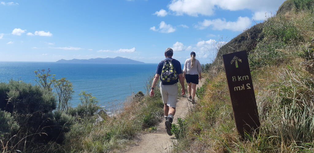 Kapiti Island view