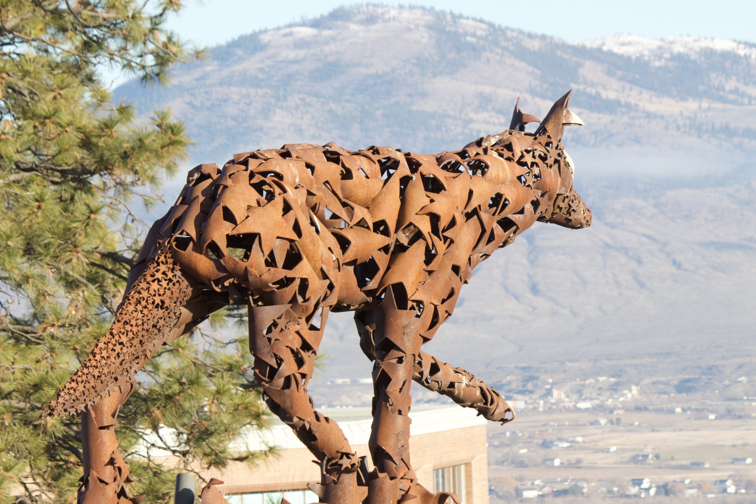 Coyote Sculpture standing on HOL building over looking TRU campus