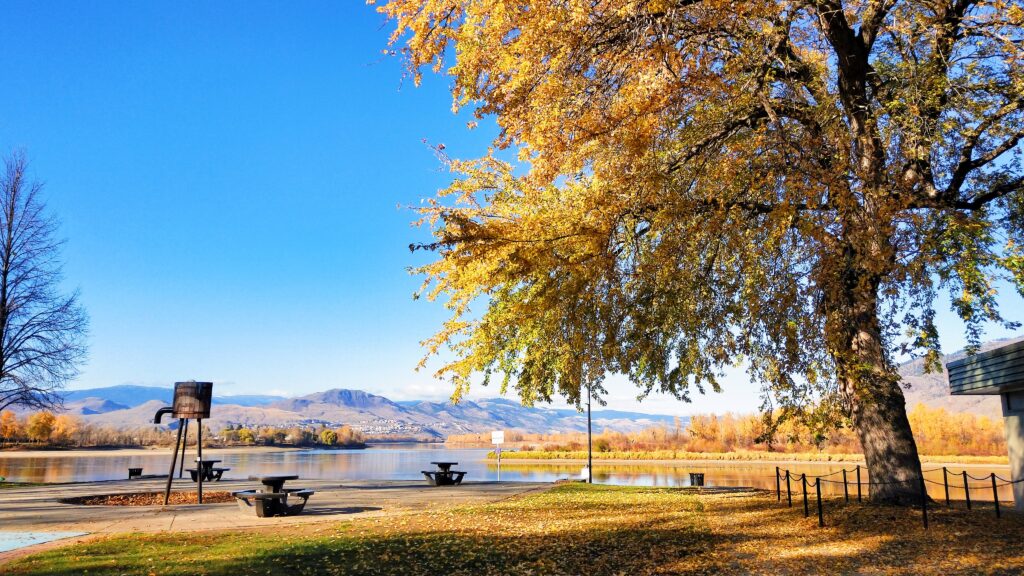 Views of river bank in Riverside Park with golden leaves falls down.