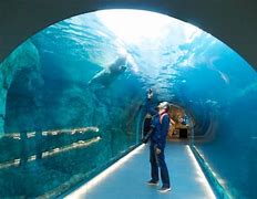 Aqua tunnel at Assiniboine Park Zoo